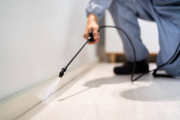 Professional exterminator conducting IPM assessment in Rich Hill